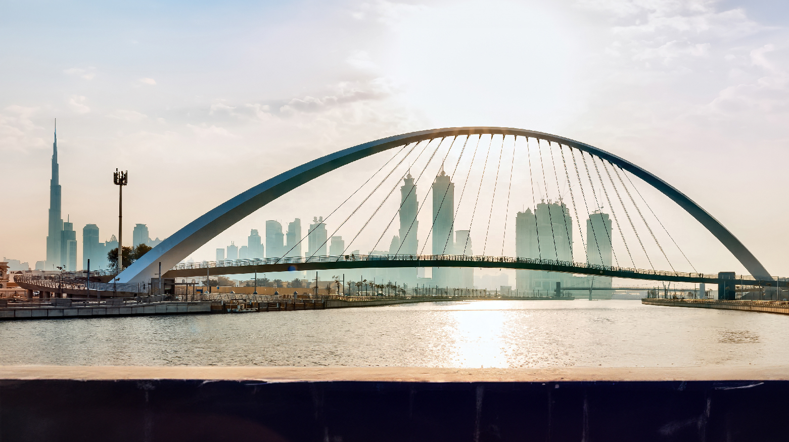 منصة دعم وجذب الشركات